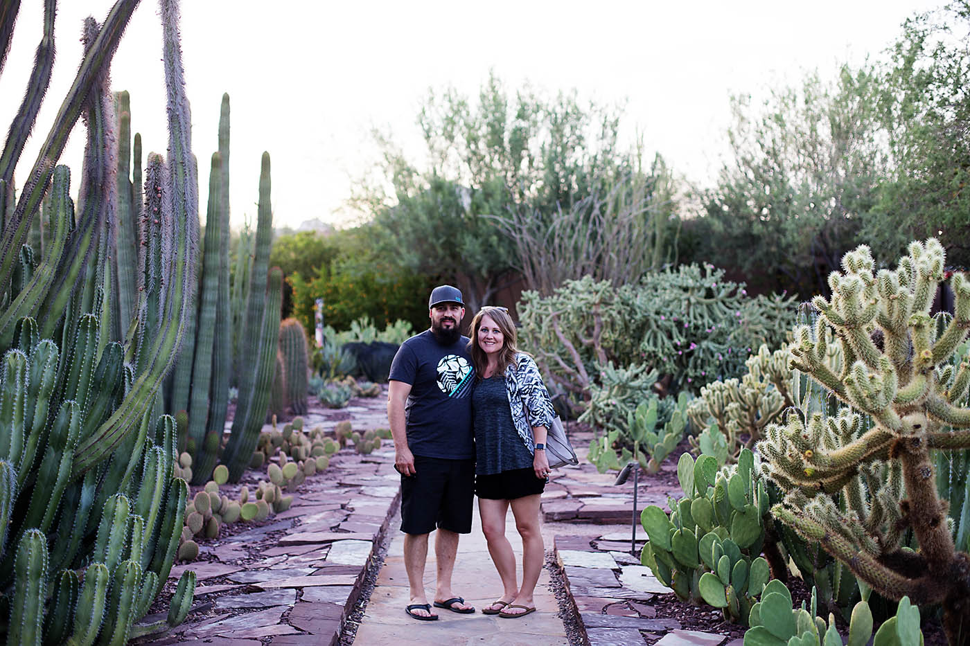Phoenix Summer Flashlight Tours At Desert Botanical Garden All