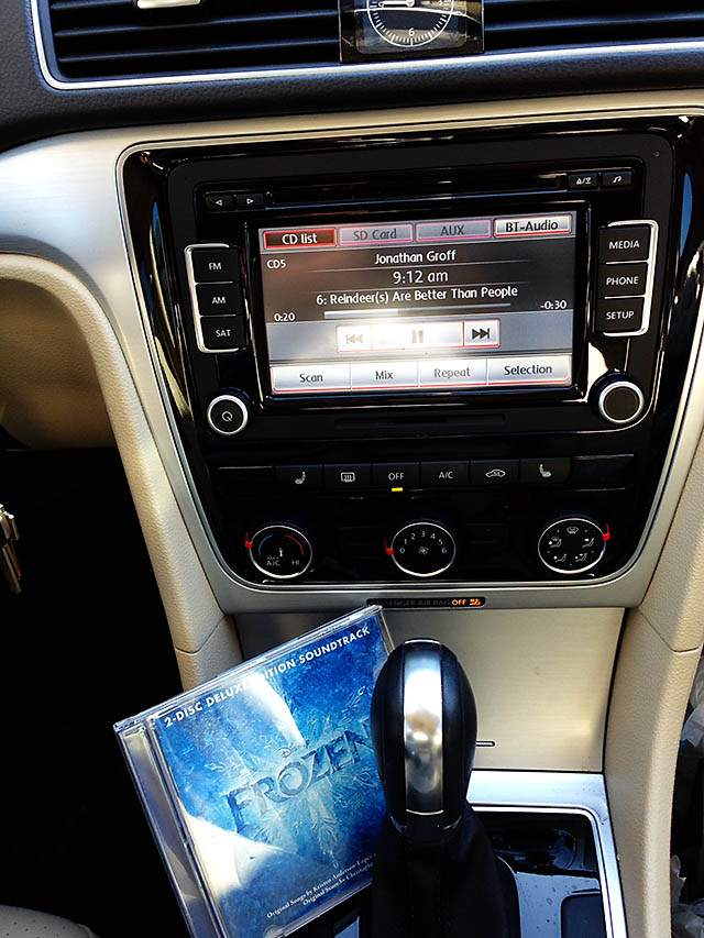 DIY Disney Frozen Sven Antlers for your best friend!