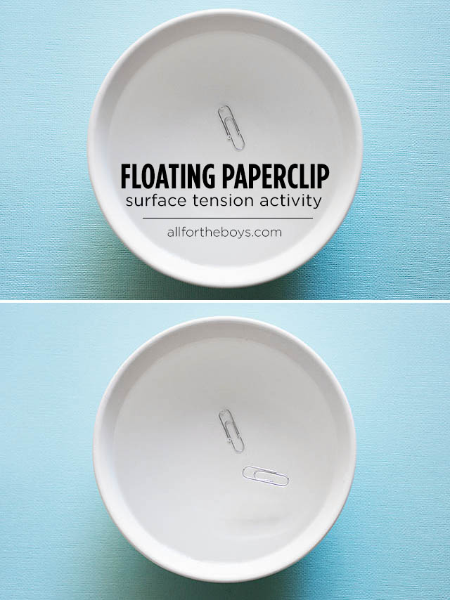 Floating paper clip surface tension activity from All for the Boys blog