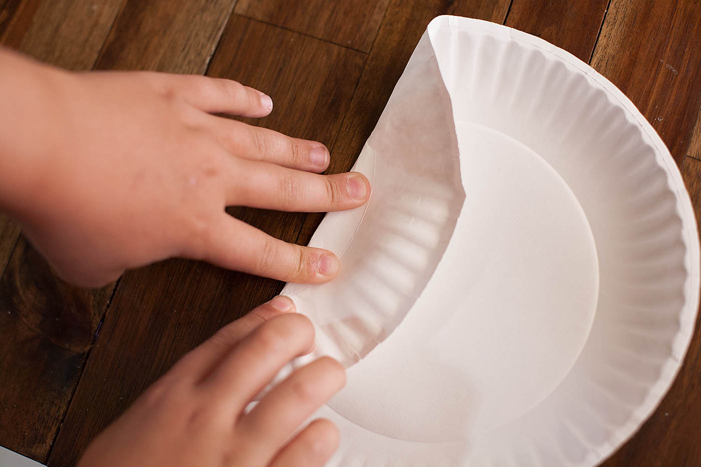 DIY Paper Plate Polyhedron - from All for the Boys blog