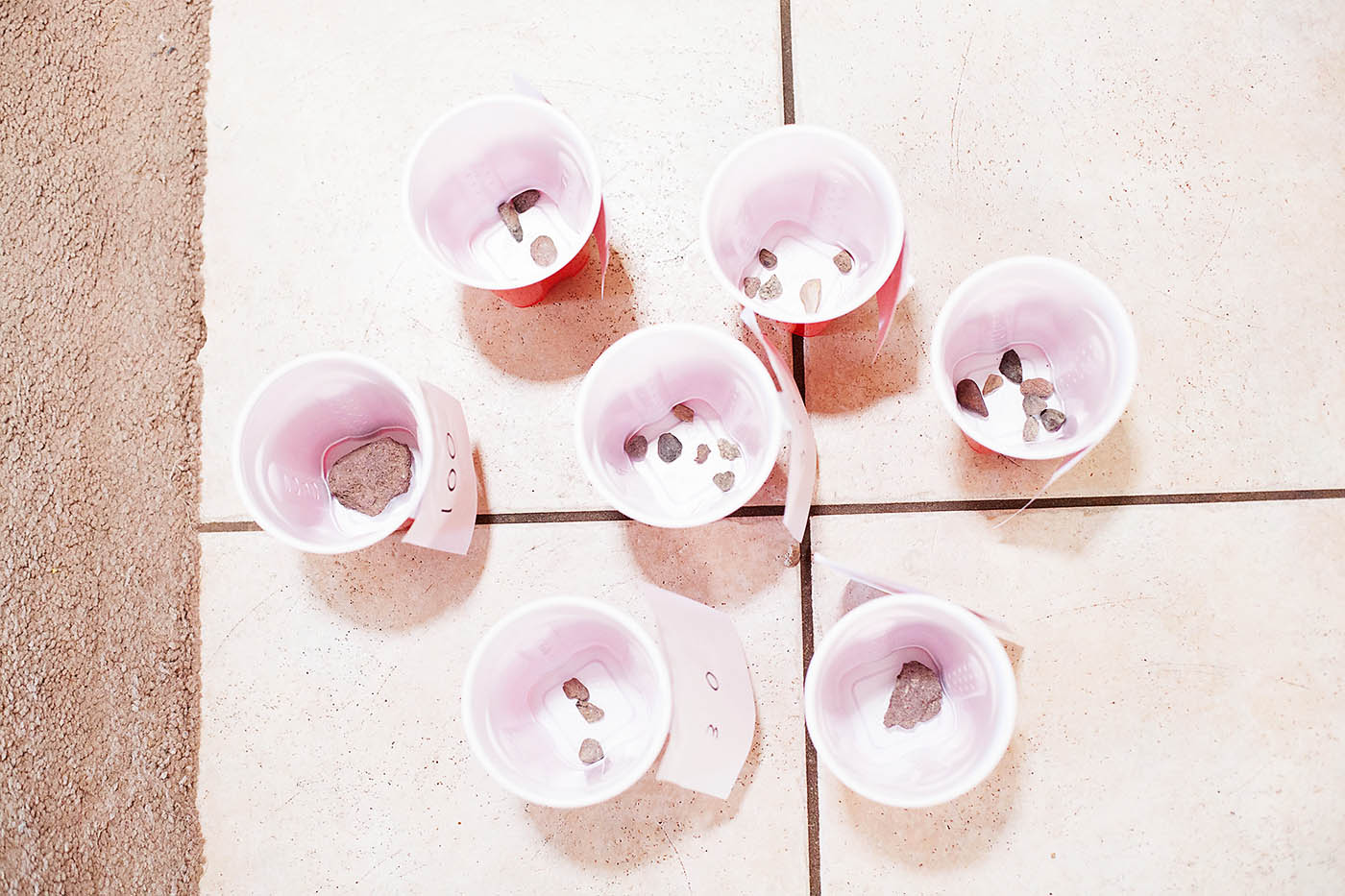 Make your own game using plastic cups - from All for the Boys