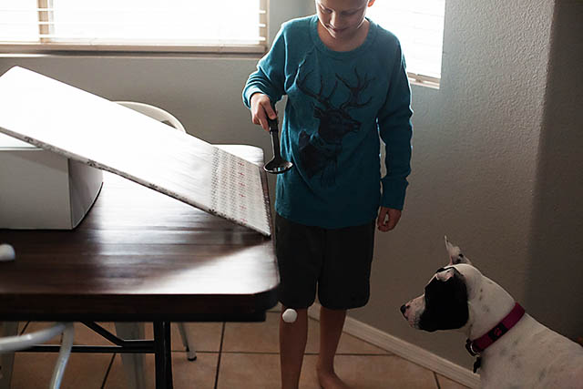 Snowball roll game using cotton balls from All for the Boys blog