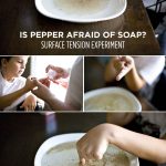 Is pepper afraid of soap? Fun surface tension science experiment for kids