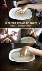 SCIENCE FUN – IS PEPPER AFRAID OF DISH SOAP?