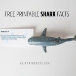 free printable shark facts for shark week
