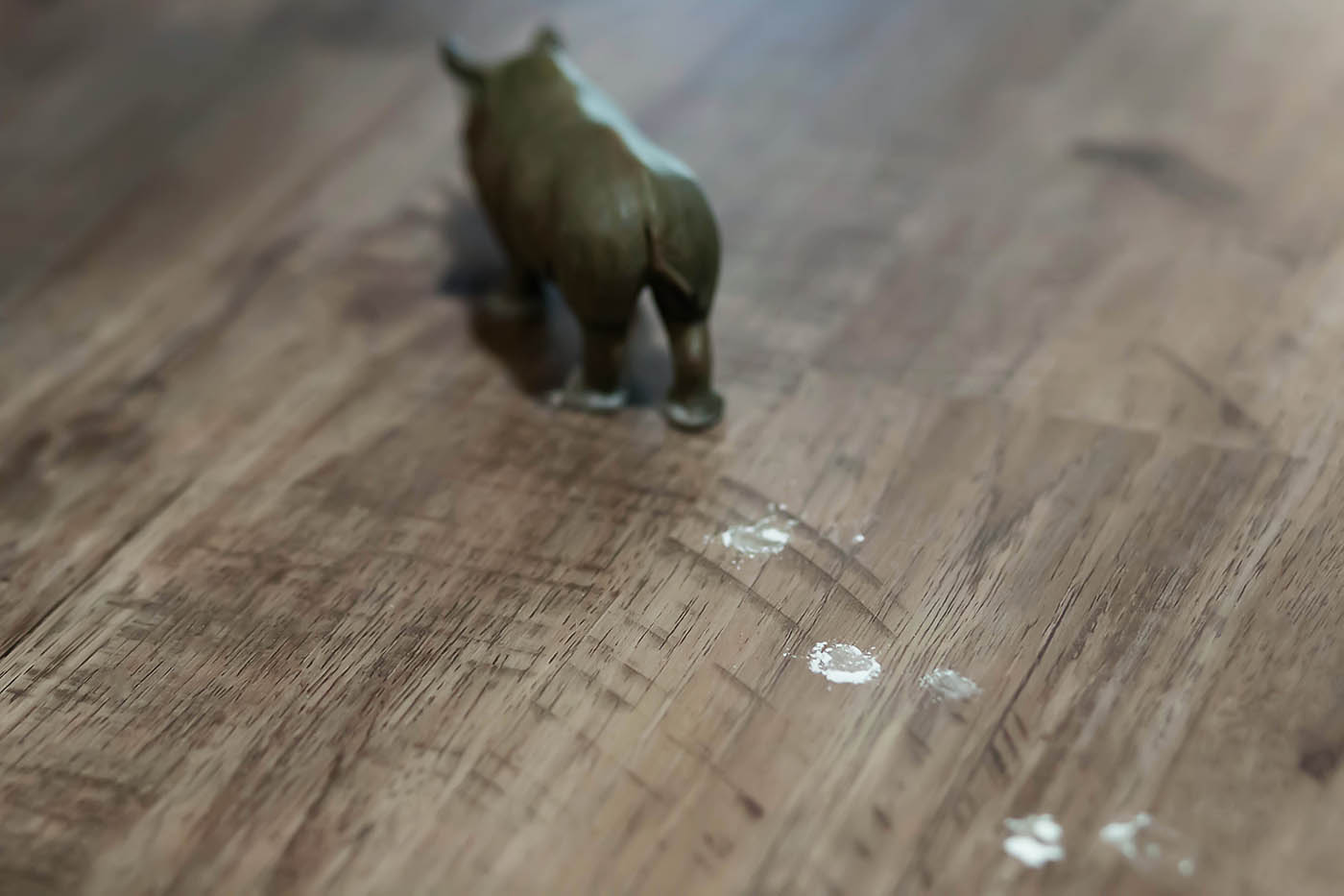 Hide and seek animals while tracking footprints