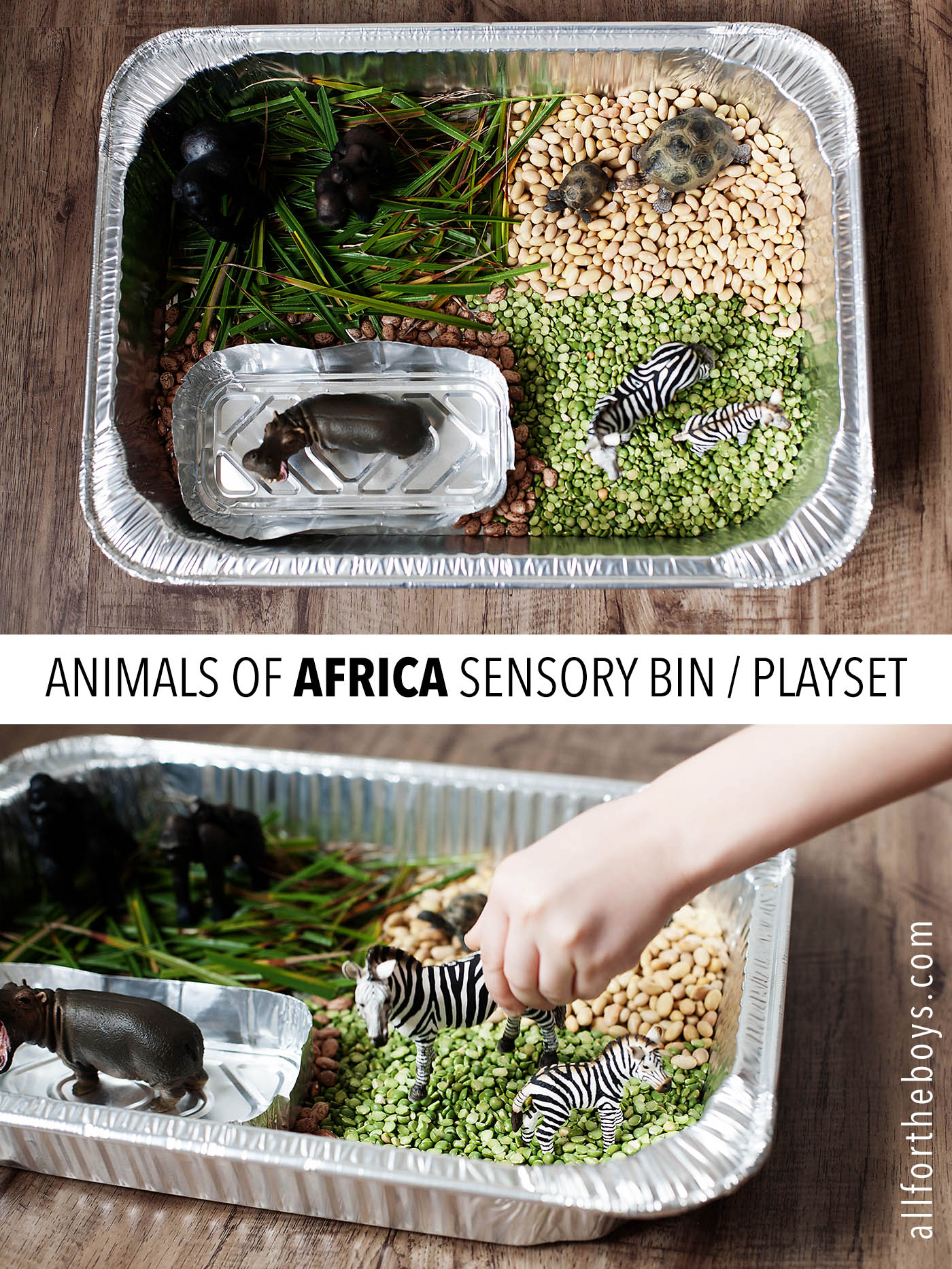 Animals of Africa sensory bin / playset