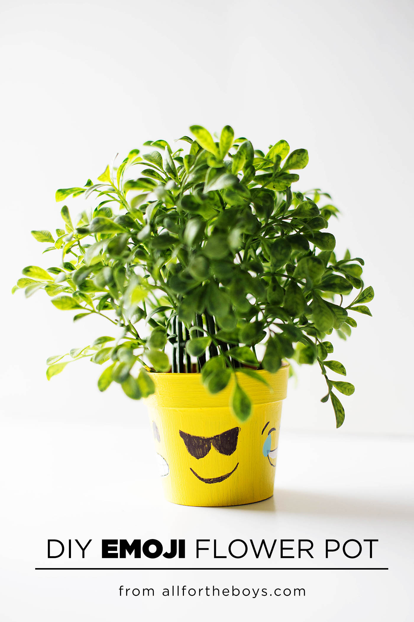 DIY emoji flower or plant pot