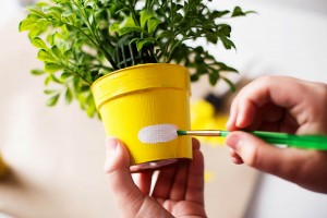 DIY emoji flower or plant pot
