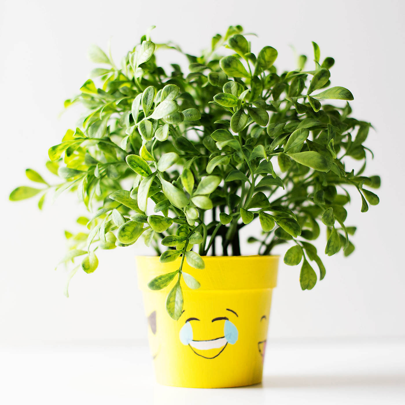 aftbemojiflowerpot6 — All for the Boys