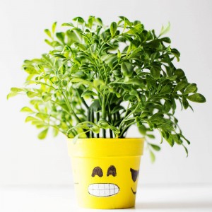 DIY emoji flower or plant pot