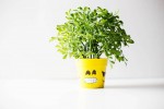 DIY Emoji Flower Pot – How Are You Feeling Today?