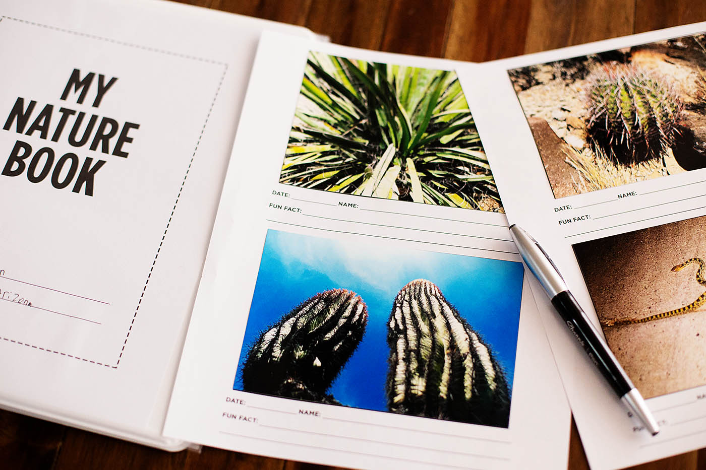DIY nature book - with printables!