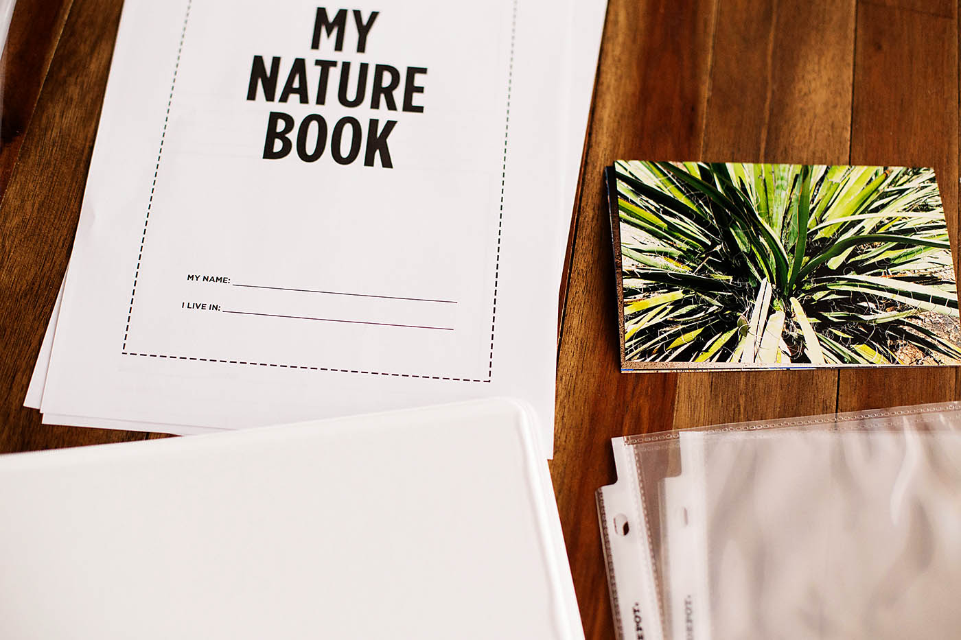 DIY nature book - with printables!