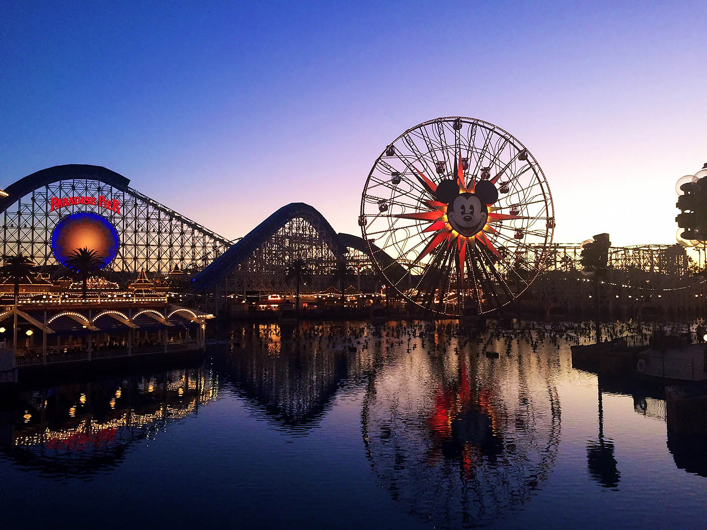 10 Things To Do On A Busy Disneyland Day All For The Boys