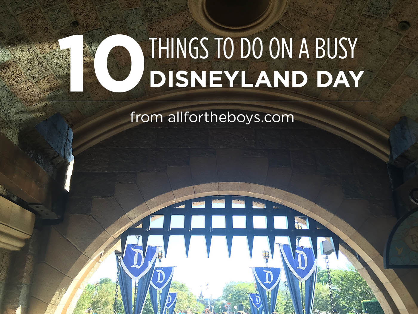 10 Things To Do On A Busy Disneyland Day All For The Boys