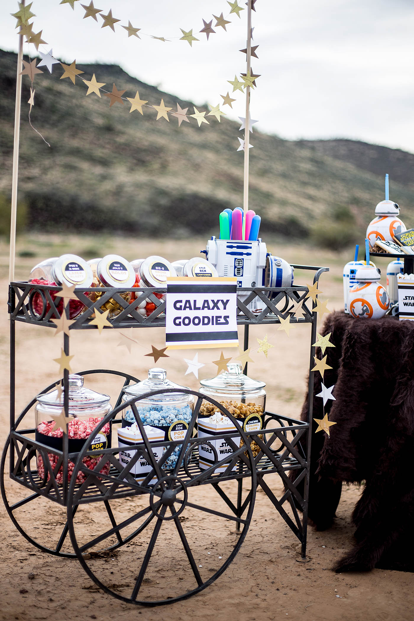Star Wars: The Force Awakens outdoor movie night birthday party! Treats, printables, cardboard ships and more!