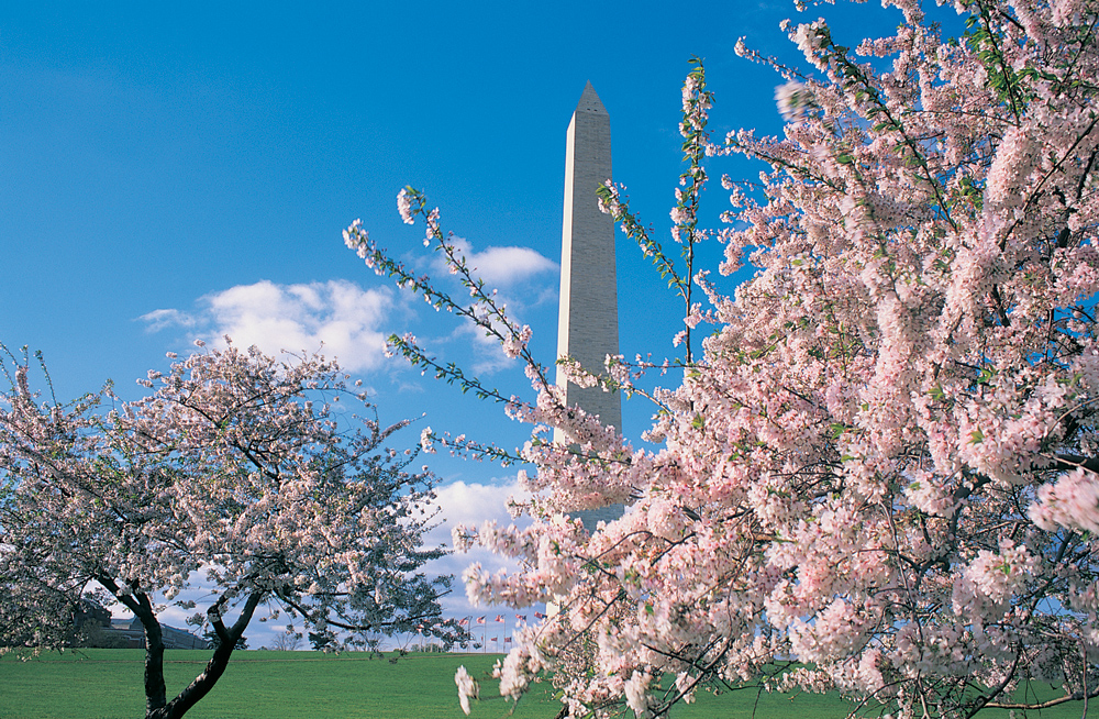 Spring Break in Washington DC — All for the Boys