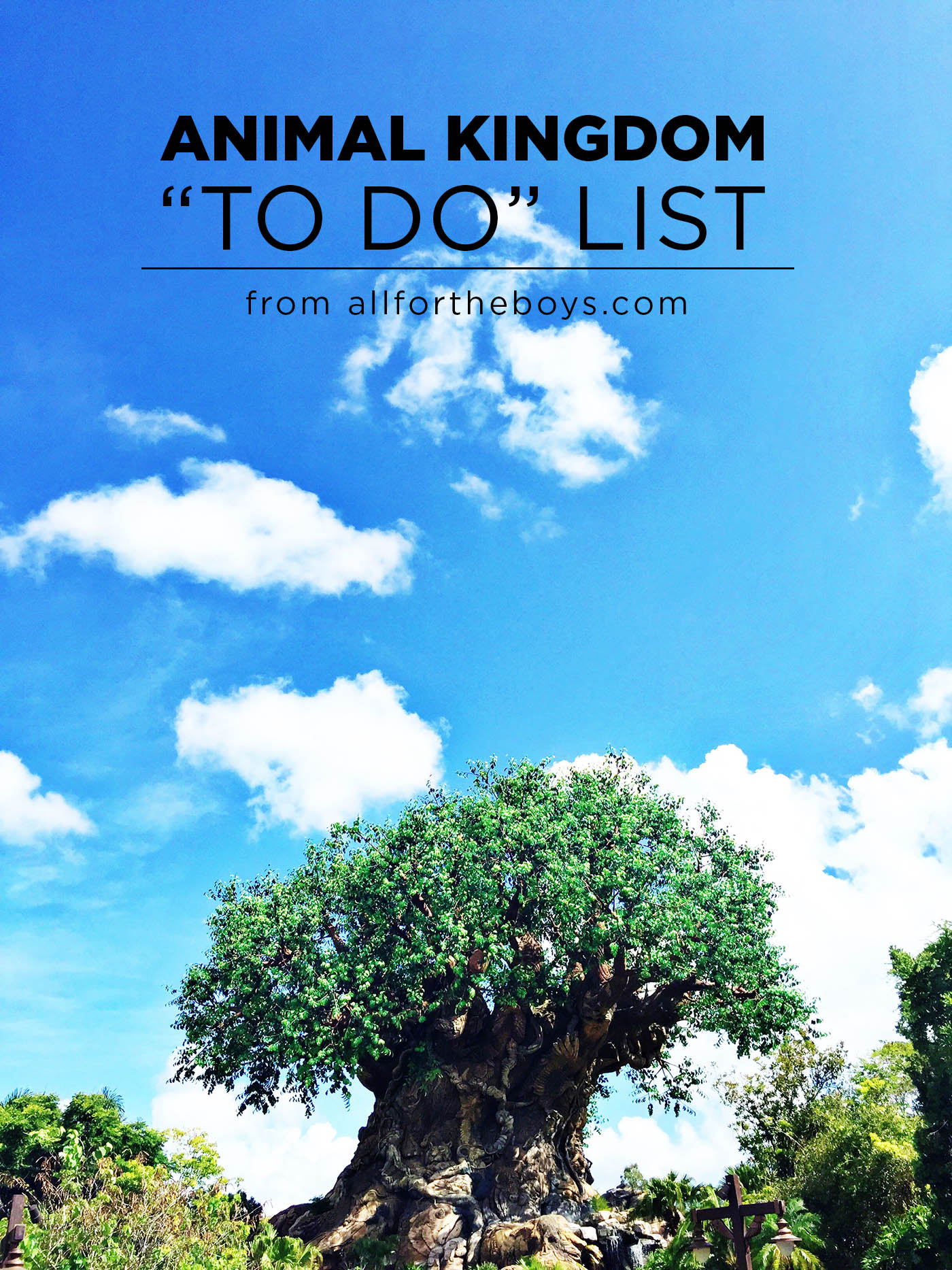 Animal Kingdom "To Do" list from the travel writer at the blog allfortheboys.com