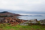San Juan Island for a Perfect Family Vacation