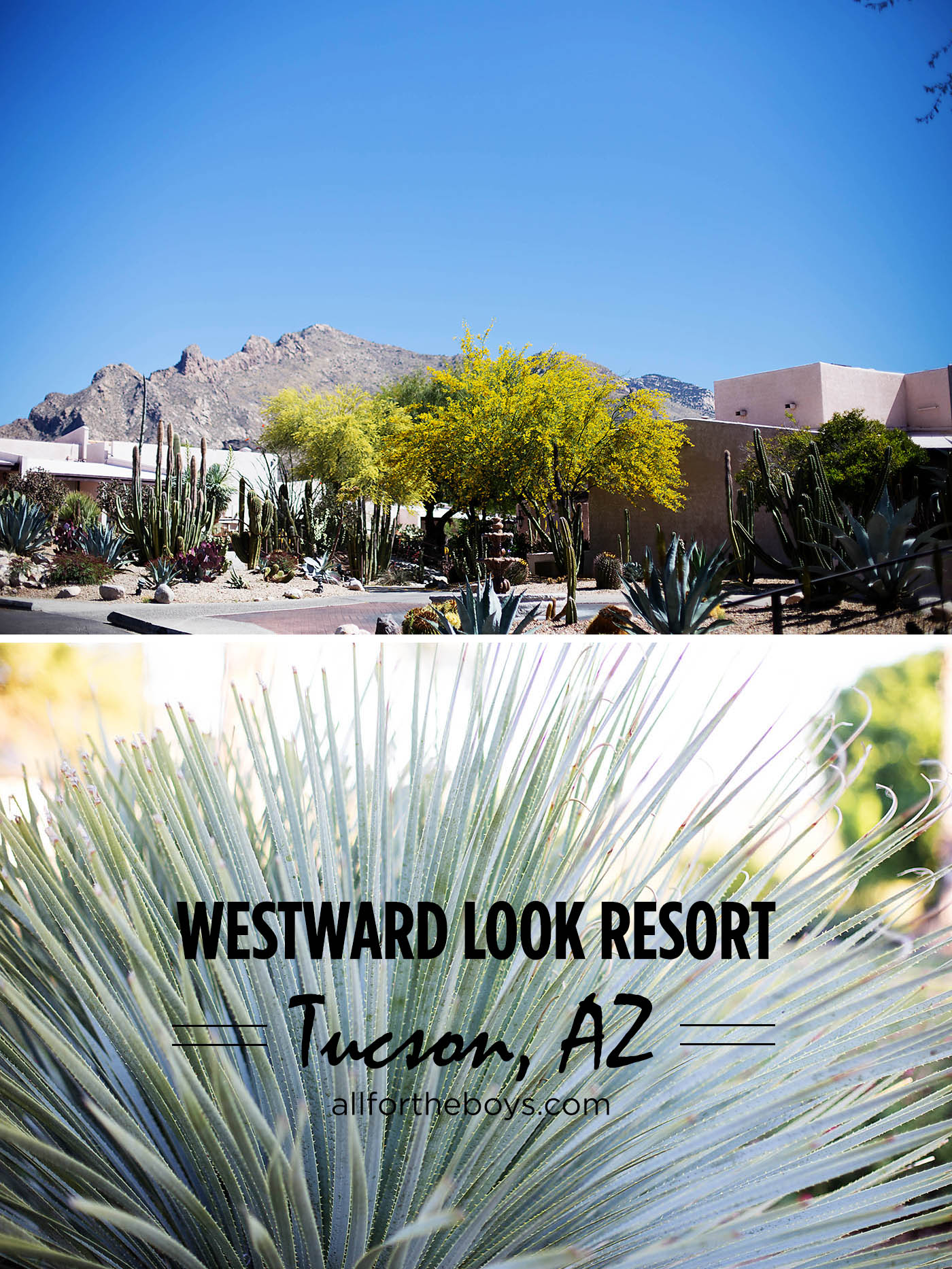 Tucson Roadtrip: Westward Look Resort