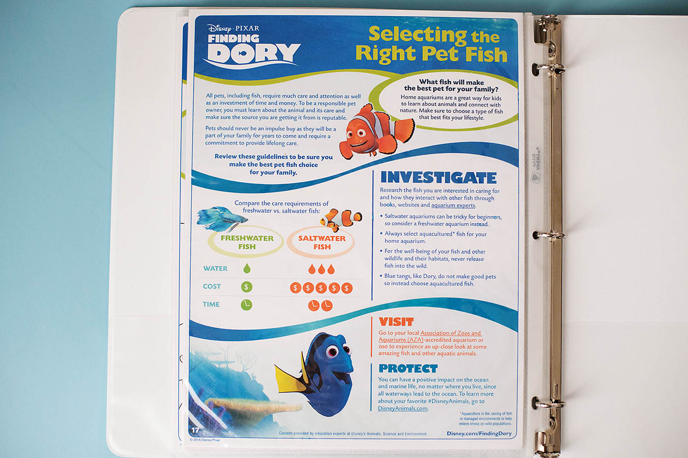 Finding Dory printable educational activity book