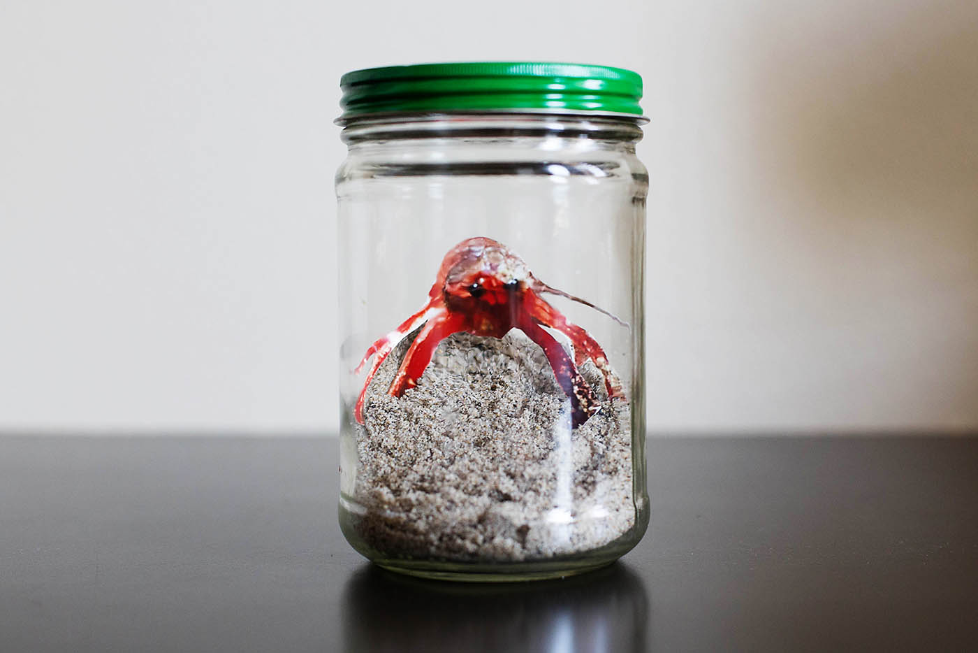 aftbcrabinajar4 — All for the Boys