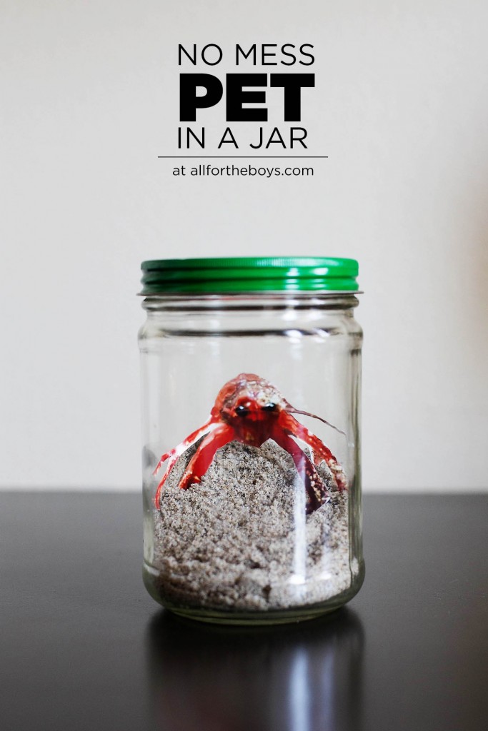 aftbcrabinajar5 — All for the Boys