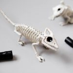 Animal skeleton flashlight hunt - fun activity or game for Halloween