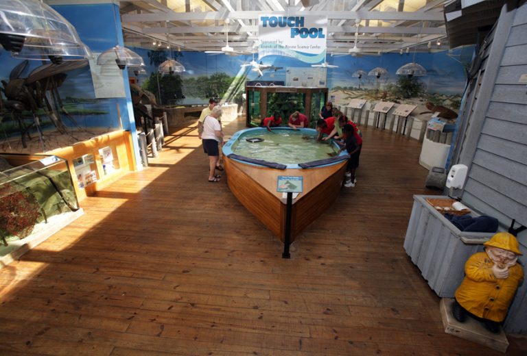 Our Daytona Beach Bucket List — All for the Boys