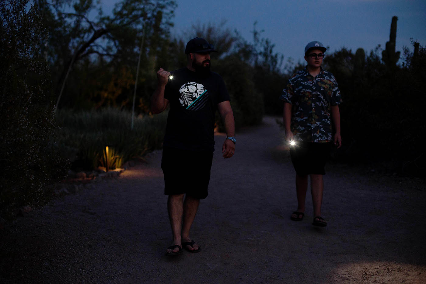 Flashlight Tours at Desert Botanical Gardens in Phoenix, AZ