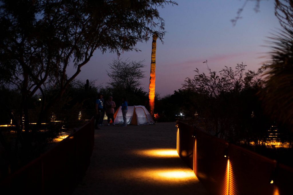 flashlight tour desert botanical garden