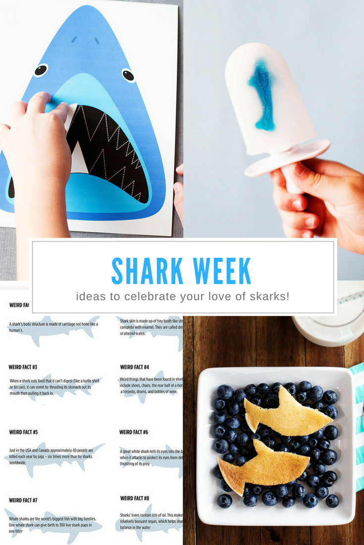 Shark week activities and ideas to celebrate your love of all things shark!