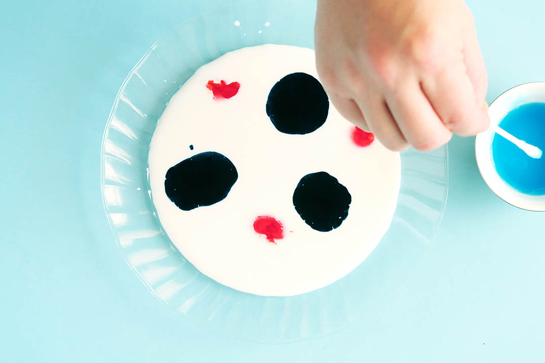 Easy patriotic themed surface tension experiment for kids