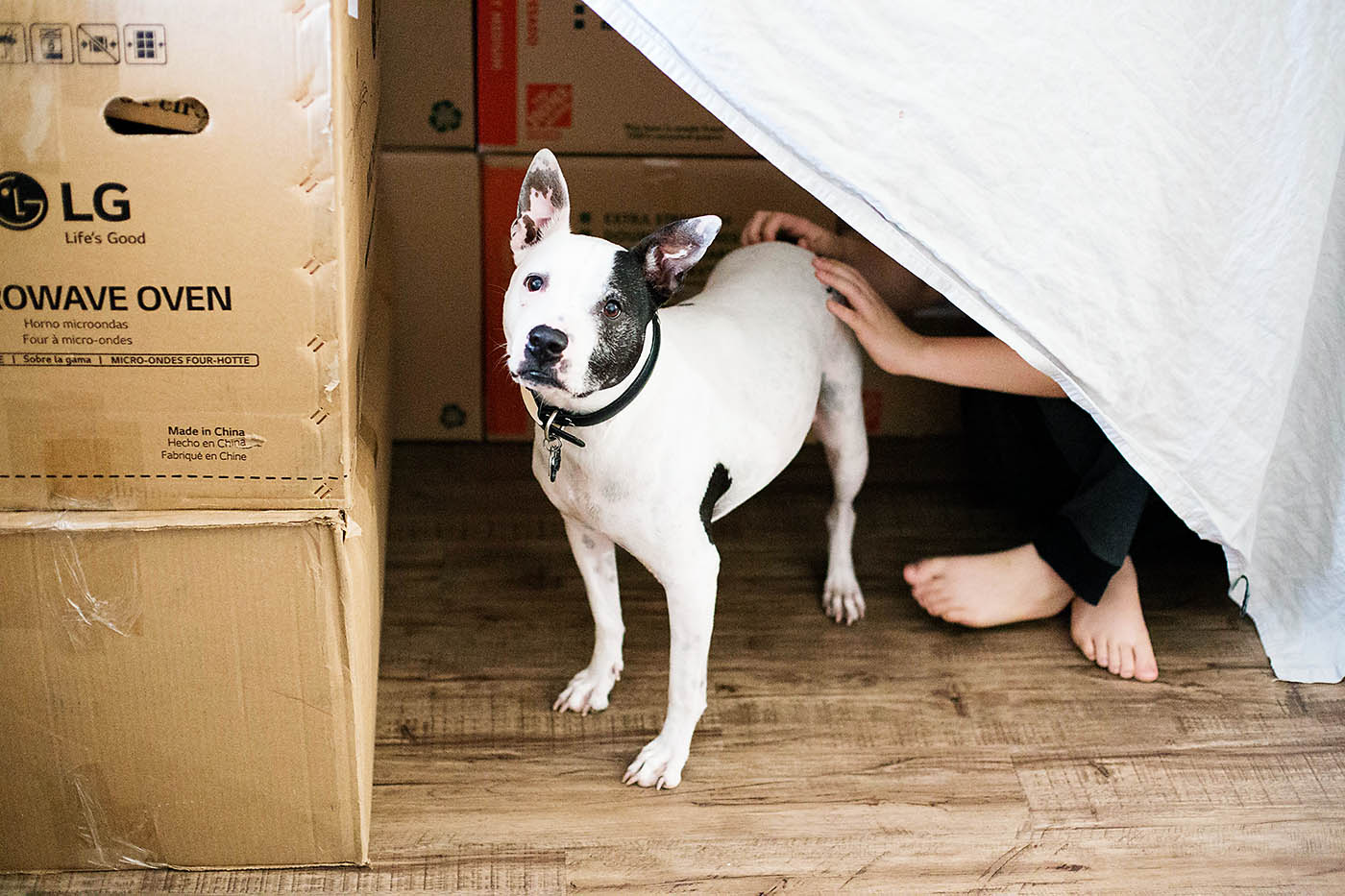 Easy moving box and sheet fort