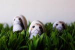 Porg Easter Egg Holders