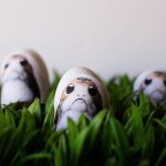 Super cute and easy Porg Easter Egg holders. The easiest and cutest way to decorate eggs for Star Wars lovers!