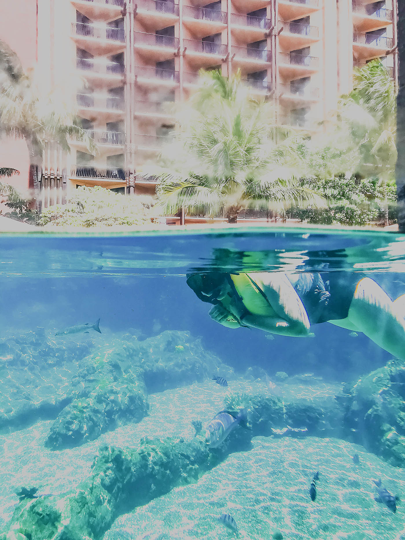 Disney Aulani with teens - snorkeling at Rainbow Reef