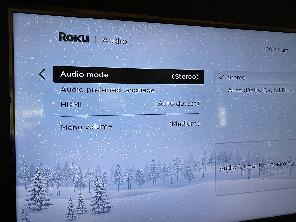 How to Turn OFF Audio Description & Talking Voice on Sony TV